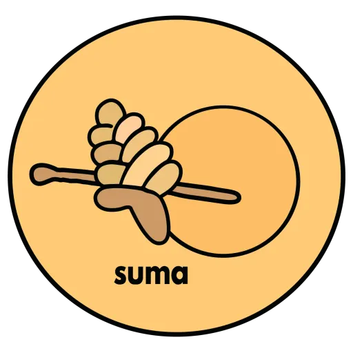 SUMA